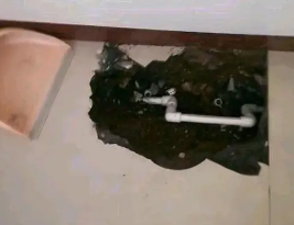 正安卫生间测漏水多少钱